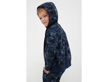 20120170051   Lewis   ����� �����(������).jpg