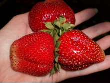 ��������� ��������� (�������), 40��� (�������� 2��).jpg