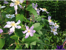 �������� ��������