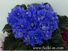 ������ ��-��������(���� ����).jpg