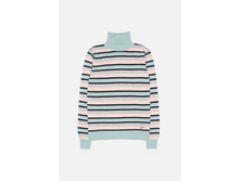 20210320031   Salmon   �������̆(���).jpg