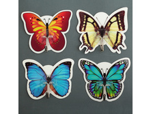 ������-�������� "�������", ���� ���� �����; 9 �� × 7,5 �� × 3 ��; �������, ������; � ����� 960 ��. ���.: 647586