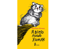 � ����� ���� �����