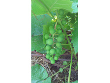 IMG 20180714 134913.jpg