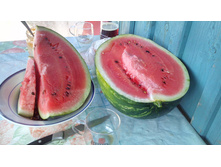 ���� ����� �� 7 �� �������, ������ � ����� �������