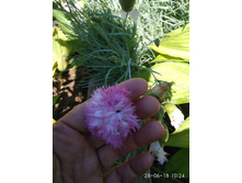 �������� ��������. IMG 20180628 102403.jpg