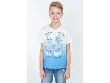 58b7c9be2397a 20110110021gulf-tg---tn.jpg