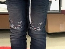 20220160175   Triana   �����.jpg