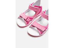 20228100018   Allegro G   �������̆(������).jpg