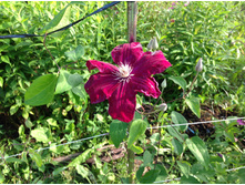 �������� ������