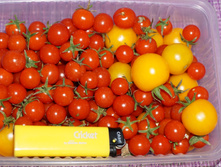 ���� �����