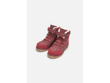 20228210031   Ribes-G   ����������̆(���).jpg