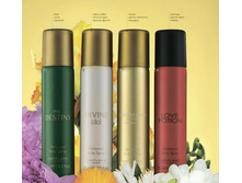 ��������������� �����-���������� ��� ����