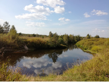 IMG 20180908 132231.jpg