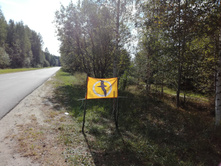 IMG 20180908 131817.jpg