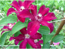 �������� ������