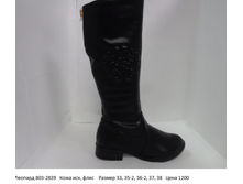 ������� 803-2839 ���� ���, ���� ������ 33, 35-2, 36-2, 37, 38 ���� 1200.png