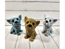 ����� �����