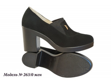 263-0 ���.jpeg