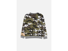 20110100147   Diatel   �������(����).jpg