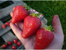 ��������� ����� (�������), 40��� (�������� 3��).jpg