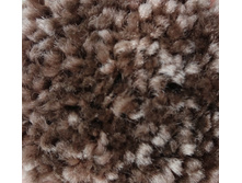 SH85 �����