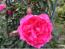 ��������� ���� � ��������