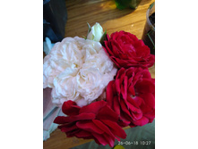 IMG 20180626 102743.jpg