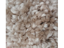 SH84 ��������