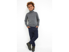 20110160180   Pine   �����-�������.jpg