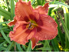 IMG 20180902 083717017.jpg