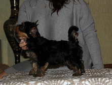 IMG 7483.JPG
