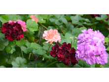 ������� ������� :)