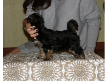 IMG 7616.JPG