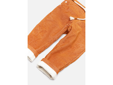 20150160011   Kot   ����������̆(���).jpg