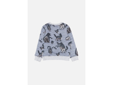 20120100148   Philin   �������(����).jpg