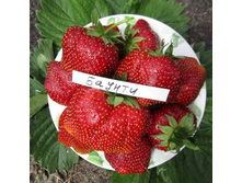 ��������� ������, 40��� (�������� 3��).jpg