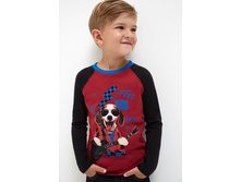 20120100143   Prince   �������.jpg