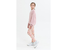 10210160027   Lynx set   �������(���).jpg