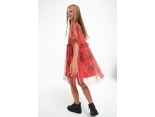 20210200274   Sambuca   �������(������).jpg