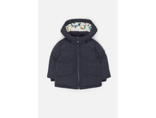 20150130006   Dolphin   �����̆.jpg