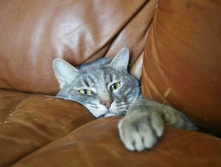 � ��� ��� �������� ���� ...