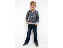 20120160169   Lepe   �����-�������.jpg