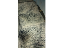 IMG 20180924 160959.jpg