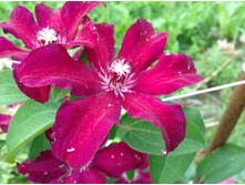 �������� ������