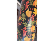 ����� 2-� �����