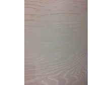 ������ ����� ����� ���� ����