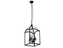 104010804 3900�.jpg