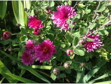 ���������� ��������