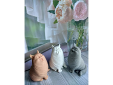 ����� ������